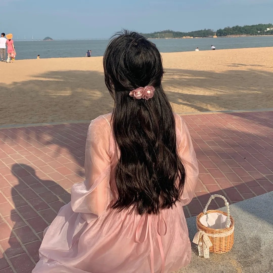 狗的生涯